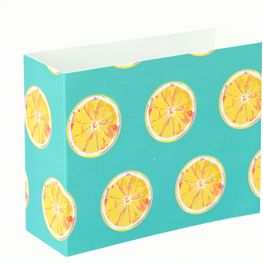 Individueller Pappschuber CreaSleeve 272