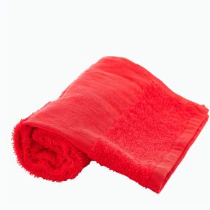 Gästehandtuch Terry S