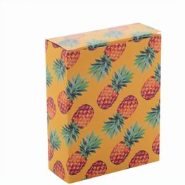 Individuelle Box CreaBox PB-163