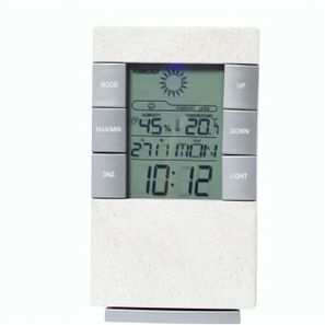 Wetterstation Florida