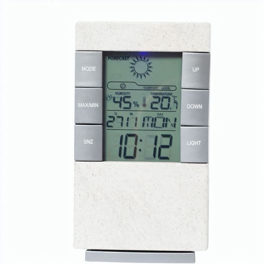 Wetterstation Florida (Bild 1)