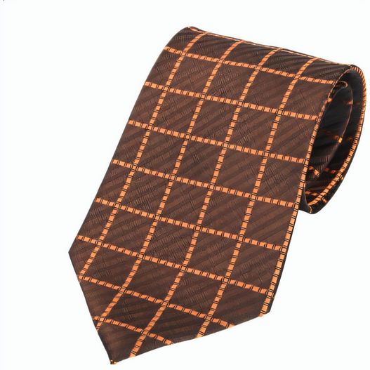 Krawatte Tienamic (Bild 1)