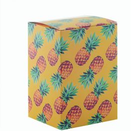 Produktabbildung Individuelle Box CreaBox PB-300 Individuelle Box CreaBox PB-300