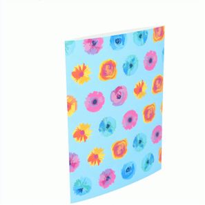 Individueller Pappschuber CreaSleeve 245