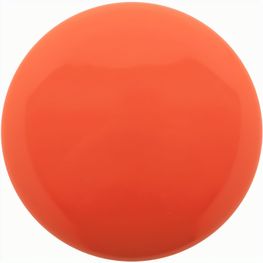 Frisbeescheibe Reppy