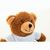 RPET Plüsch-Teddybär Rebear (Bild 3)