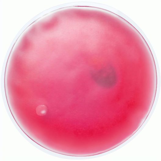 Produktabbildung Wärmekissen Relief Wärmekissen Relief (Bild 1)