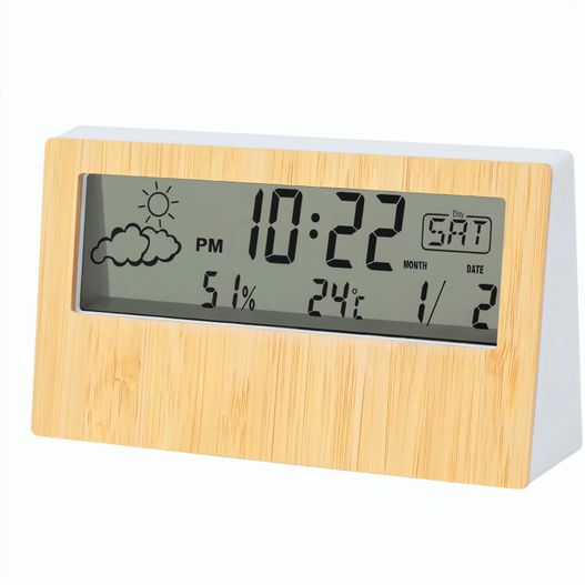 Wetterstation Zepra (Bild 1)