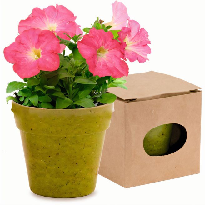 Produktabbildung Blumentopf Advert Blumentopf Advert