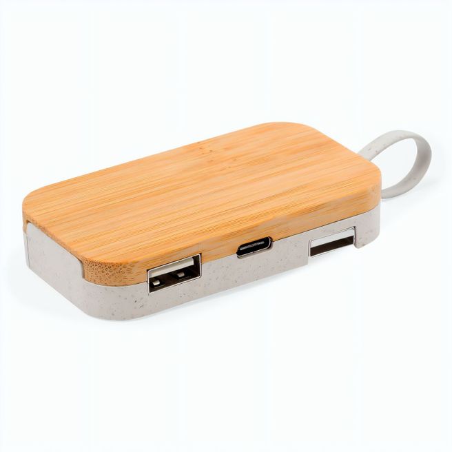 Halter USB Hub Flow