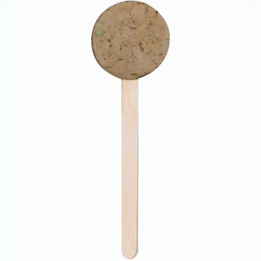 Lutscher-Samen Ebeldy (Bild 1)