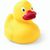 Ente Koldy (Bild 1)