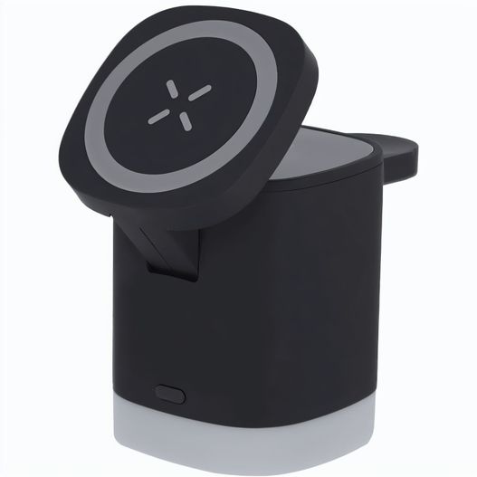 Ladegerät Ruclox (Bild 1)