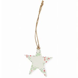 Samen Ornament Boster