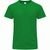 Erwachsene Farbe T-Shirt Perkins