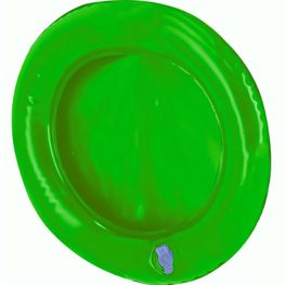 Frisbee-Pad Zalox