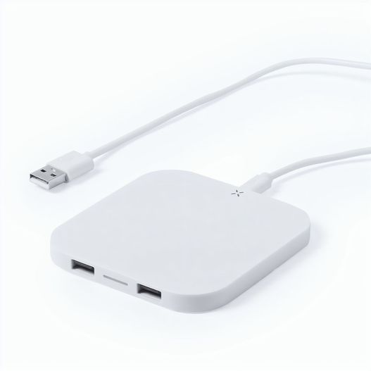 Ladegerät Donson (Bild 1)