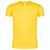 Erwachsene Farbe T-Shirt Iconic