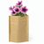 Blumentopf Sober (Bild 1)