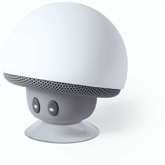 Lautsprecher Wanap (Bild 1)