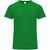 Erwachsene Farbe T-Shirt Stiles