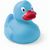 Ente Koldy (Bild 1)