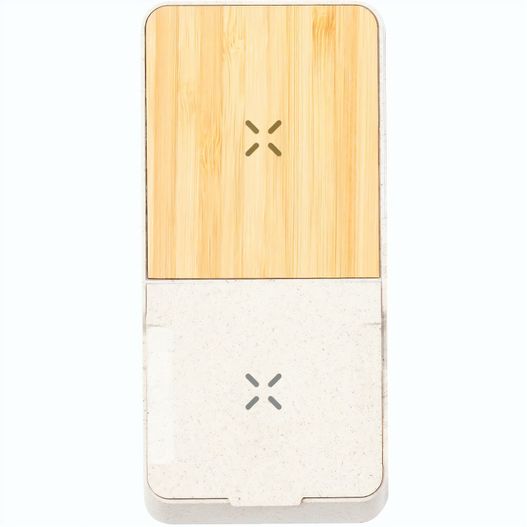 productImage Ladegerät Barichen Ladegerät Barichen (picture 1)