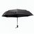 Regenschirm Telfox (Bild 1)