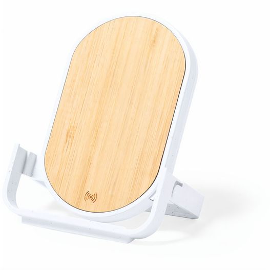 Produktabbildung Ladegerät Buisson Ladegerät Buisson (Bild 1)