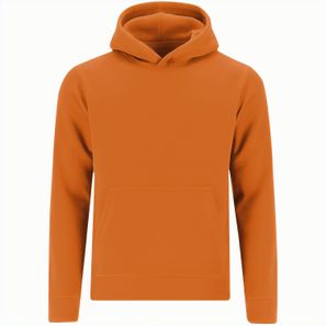 Kinder Sweatshirt Draco