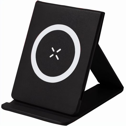 Produktabbildung Ladegerät Zirnal Ladegerät Zirnal (Bild 1)