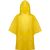 Poncho Teo (Bild 1)