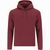 Erwachsene Sweatshirt Draco