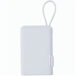 Power Bank Brandin