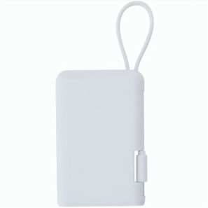 Power Bank Brandin
