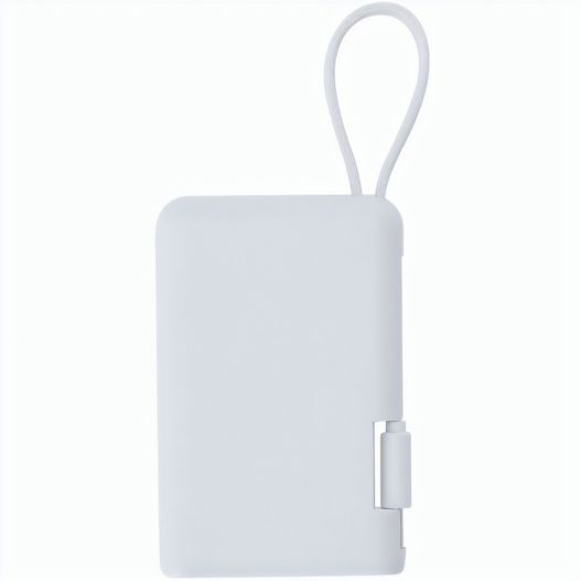 Power Bank Brandin (Bild 1)