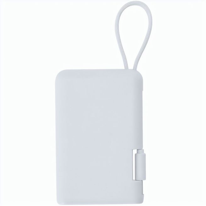 Power Bank Brandin
