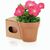 Blumentopf Advert (Bild 1)