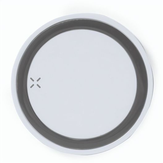 Ladegerät Radik (Bild 1)