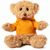 Teddy Loony