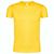 Erwachsene Farbe T-Shirt Iconic