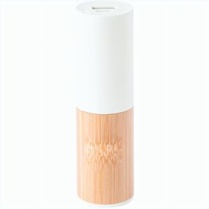 Power Bank Reneh