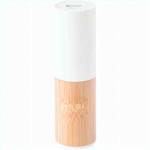 Produktabbildung Power Bank Reneh Power Bank Reneh (Bild 1)