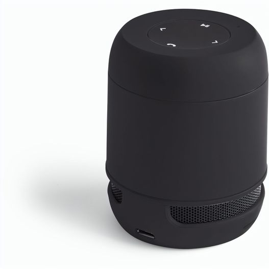 Produktabbildung Lautsprecher Braiss Lautsprecher Braiss (Bild 1)