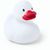Ente Koldy (Bild 1)