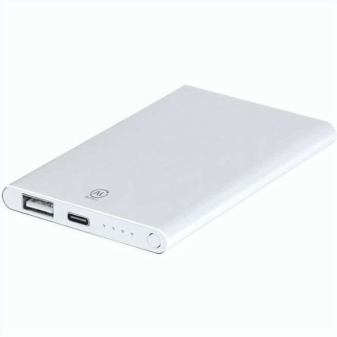 Power Bank Backen