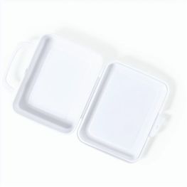 Lunch Box Chosal