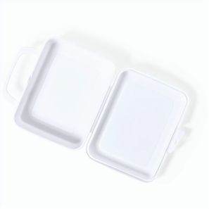 Lunch Box Chosal
