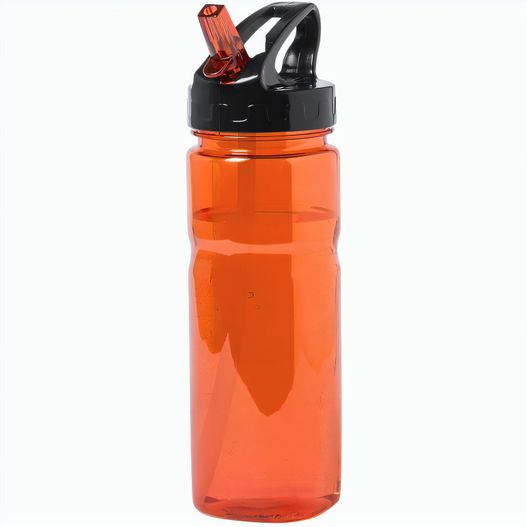Produktabbildung Trinkflasche Vandix Trinkflasche Vandix (Bild 1)