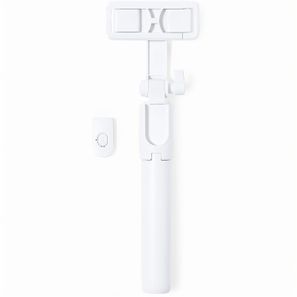 Tripod Merylin